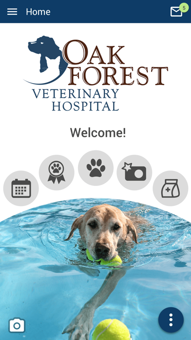 Oak Forest Vet Screenshot