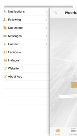 Game screenshot Phoenix Hoops apk