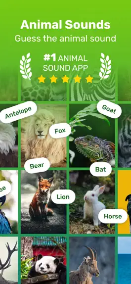 Game screenshot Guess Animal Sounds mod apk