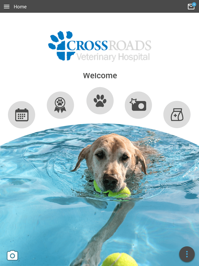 Crossroads Vet Hospital
