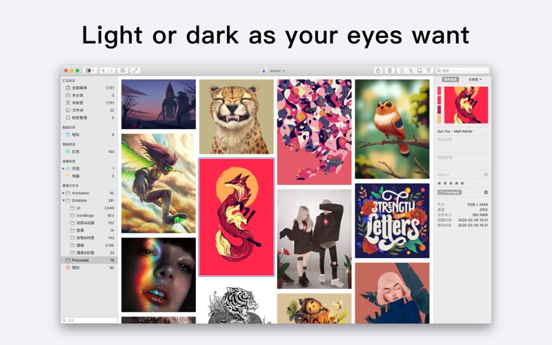 Screenshot #2 pour Picsee - Photo Browse & Manage