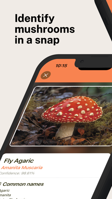 Mushroom Identification Pro Screenshot