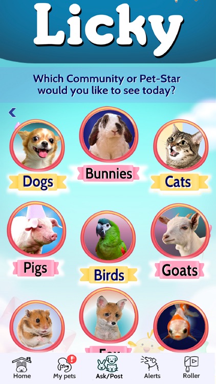 Licky- Social Media for Pets