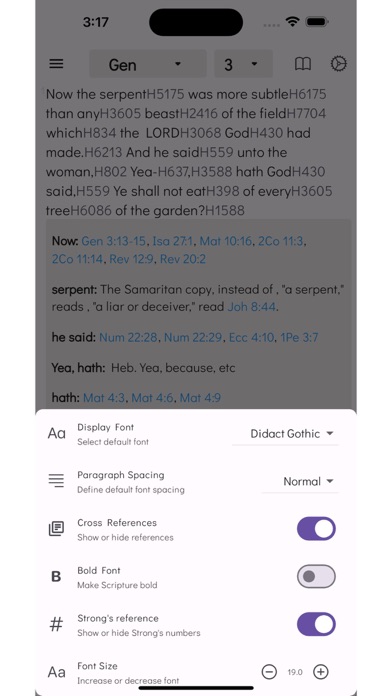 Strongs Bible Concordance Screenshot