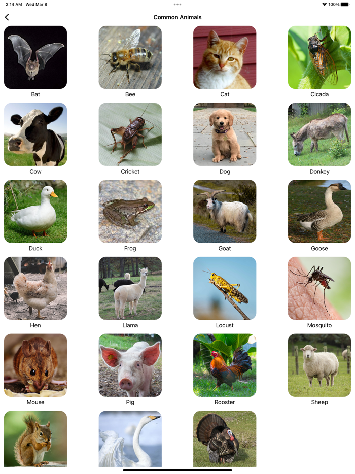 Animal Sounds Pro and Bird Noise