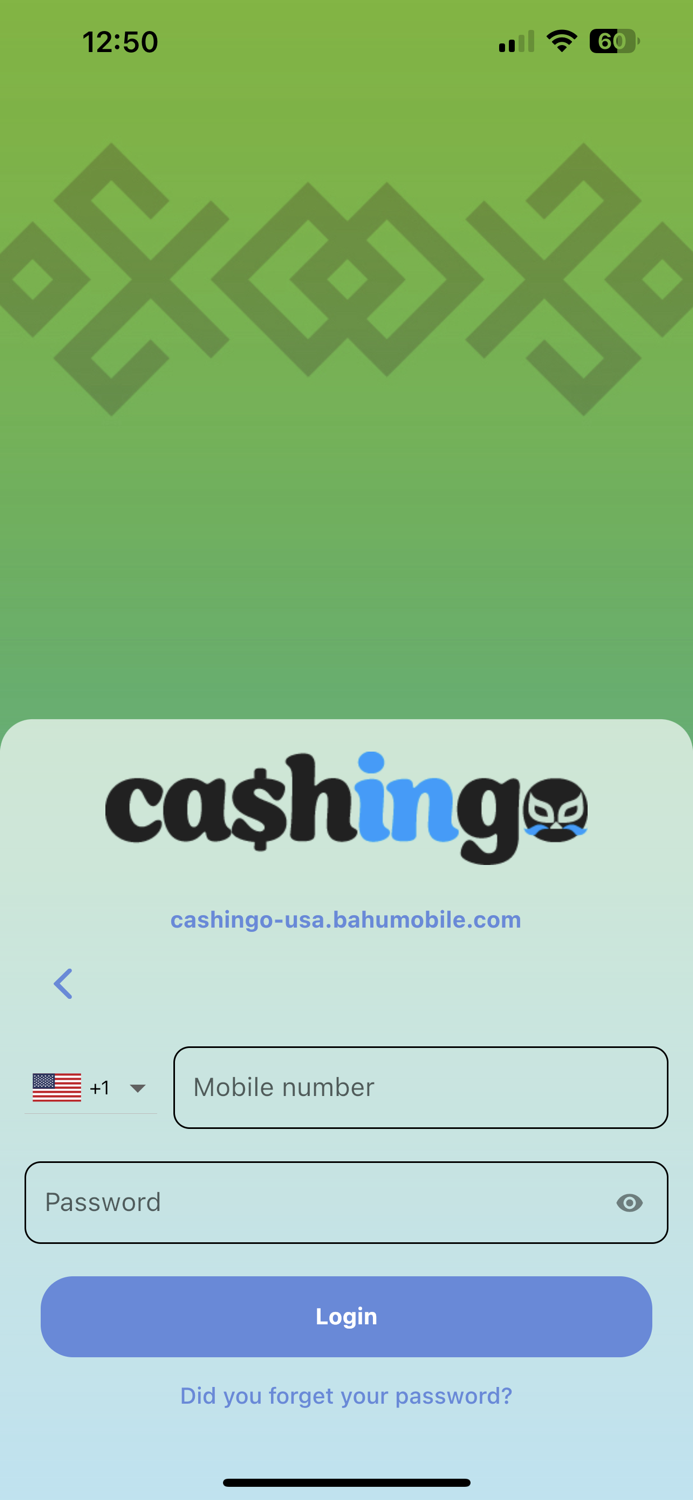 Cashingo USA