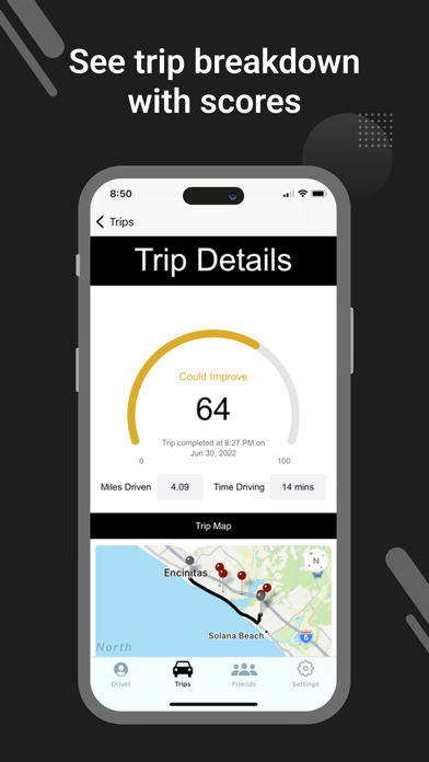 DriveSafe Pro Screenshot