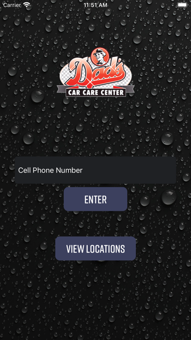 Dad's Car Wash Screenshot