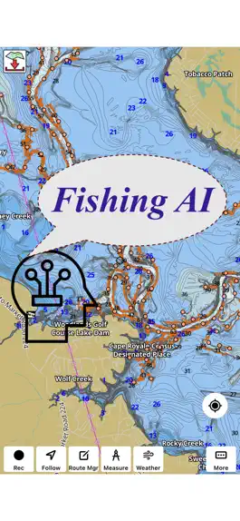 Game screenshot Fishing Points - Lake Maps mod apk