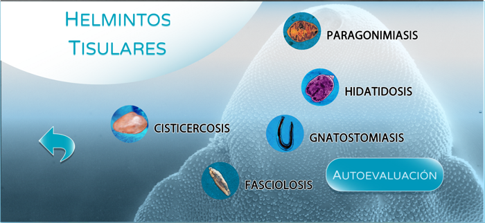 Parásitos sistémicos