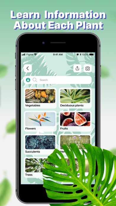 Plant Identifier & Finder App Screenshot