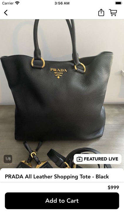 That Crazy Handbag Lady