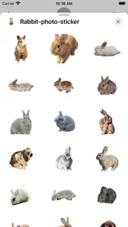 rabbit photo sticker iphone screenshot 1
