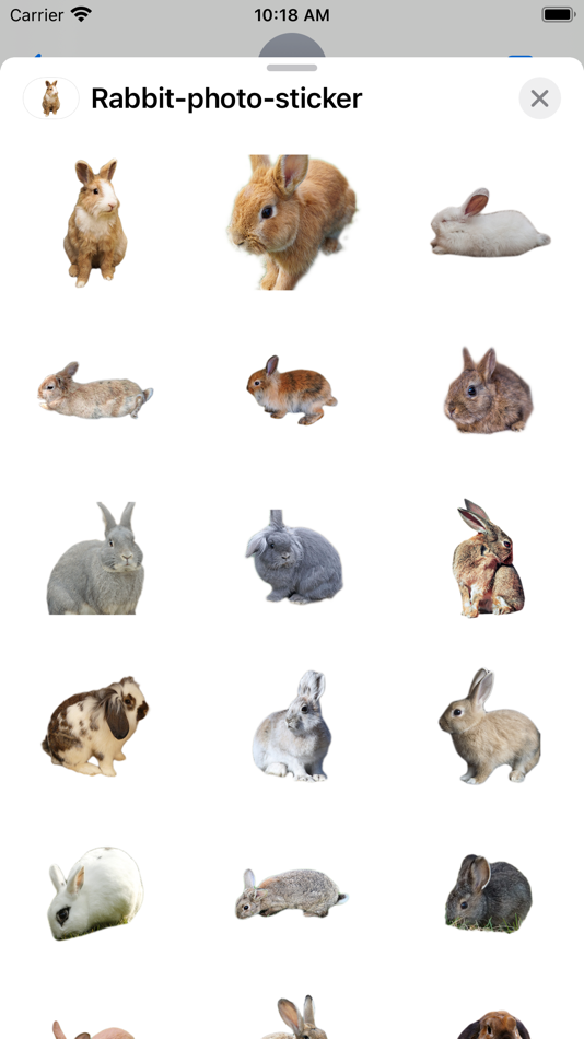 Rabbit photo sticker - 3.0 - (iOS)