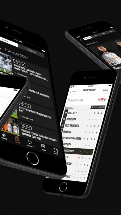 Swansea City Screenshot