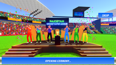 Real World Cricket League 2024 Screenshot