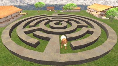 Horse Maze Run Challenge Screenshot