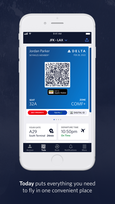 Fly Delta Screenshot