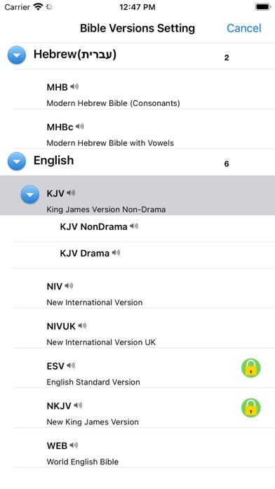 Hebrew English Audio Bible Screenshot