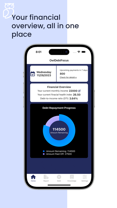Owl Debt Focus Screenshot