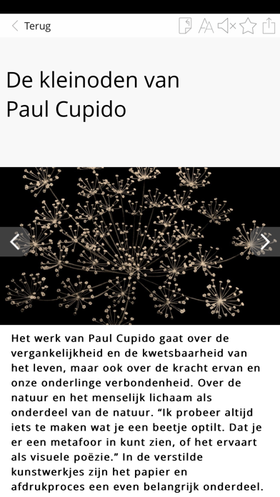 Focus Magazine Screenshot