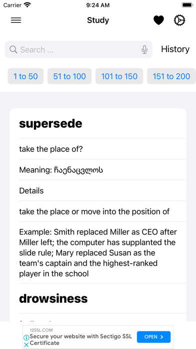 Smart Georgian Dictionary Screenshot