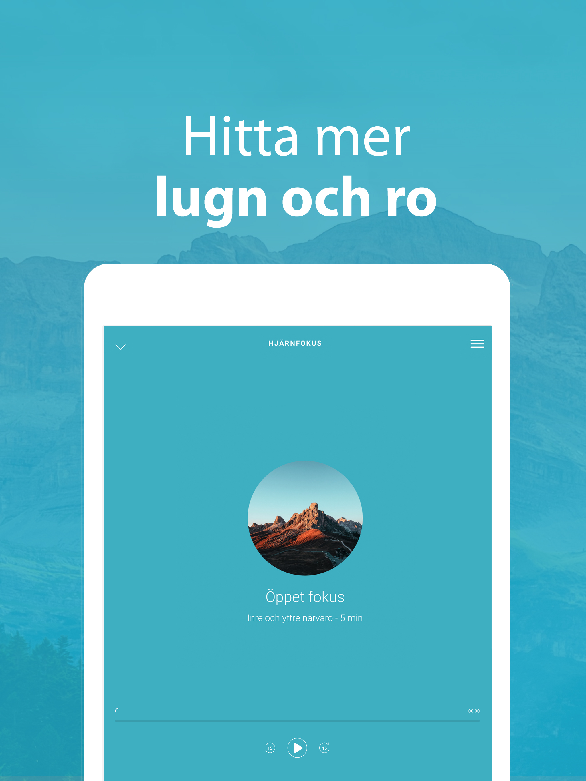 Hjärnfokus screenshot 5