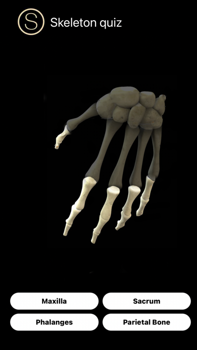 Screenshot #2 pour Skeleton Study Guide