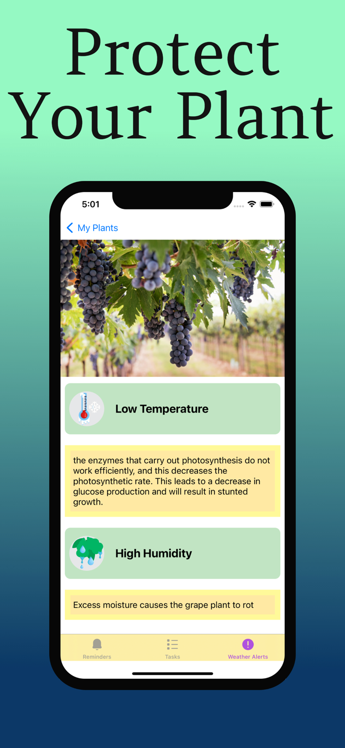 Plant Care Guide and Tips