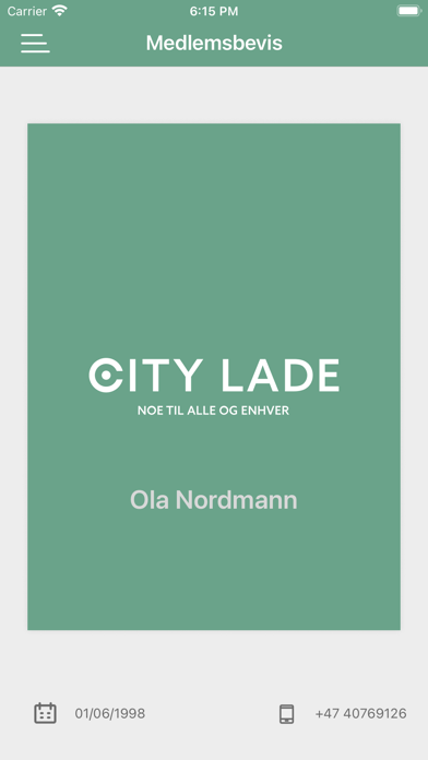 City Lade Screenshot