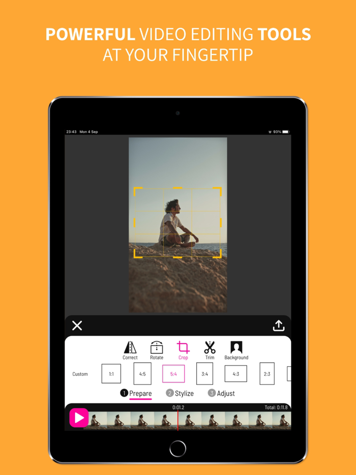 Toonita Video Pop Art Filters