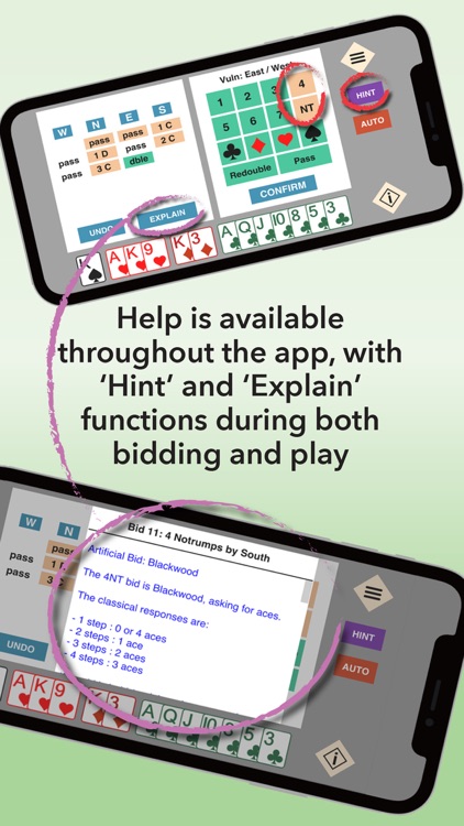 Bridge Ace by Breva Bridge screenshot-4