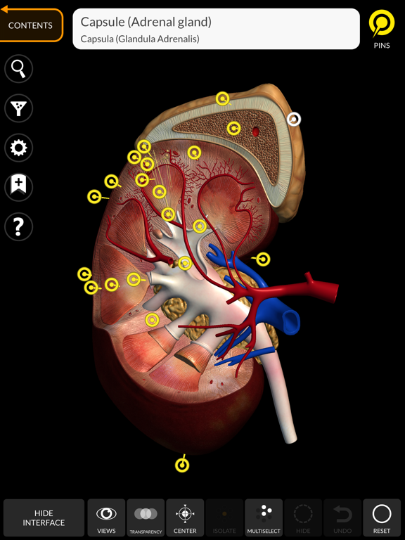 Anatomy 3D Atlas iPad screenshot 4 - Medical app