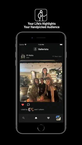 Game screenshot Gallerista apk