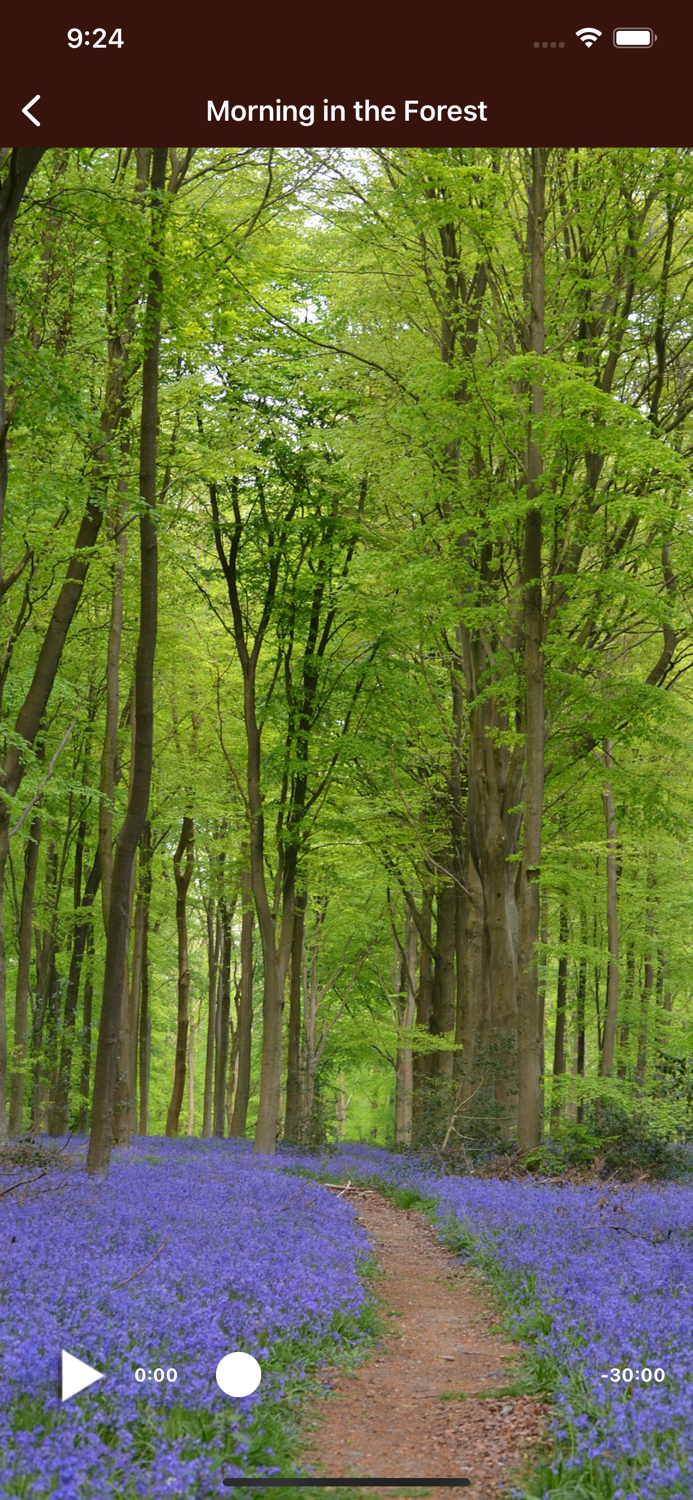 Relaxing Nature Sounds