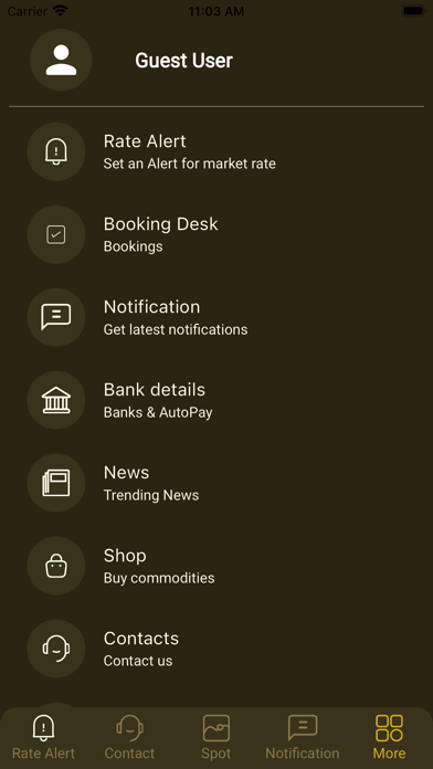 MAX GOLD Screenshot