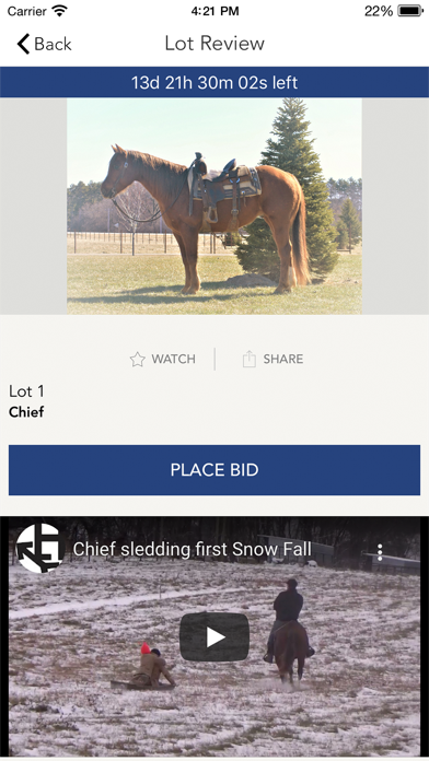 Designer Horse Sales Screenshot