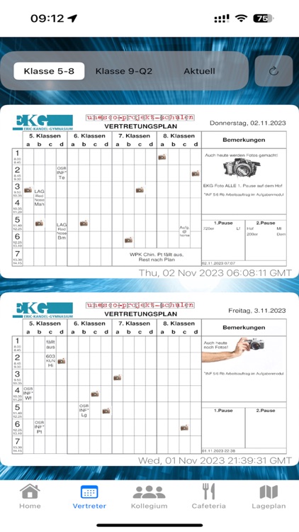 EKG Vertreter