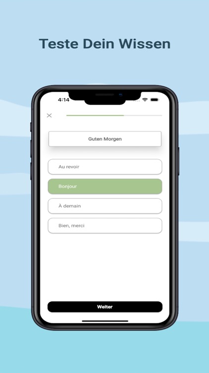 Französisch Vokabeln Lernen