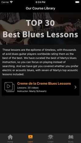 Game screenshot Top 30 Best Blues Lessons apk