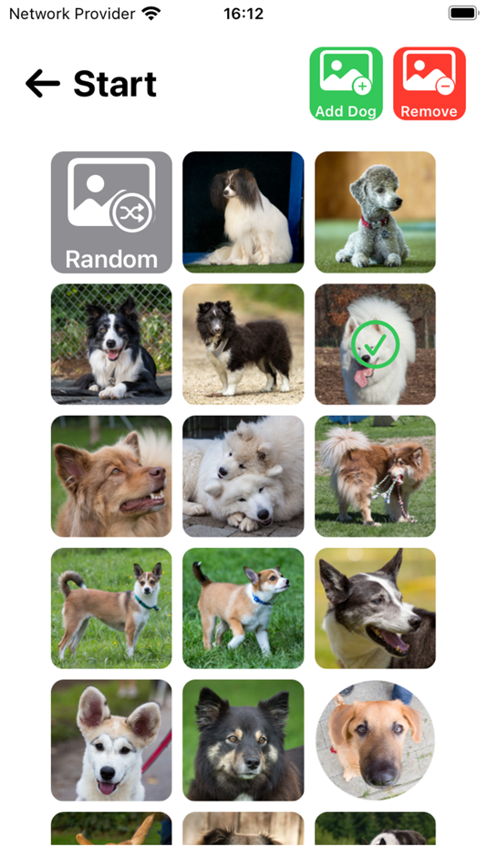 #3. Slider Dog (iOS) Podle: Peter Grutter