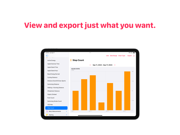 Health Auto Export - JSONCSV