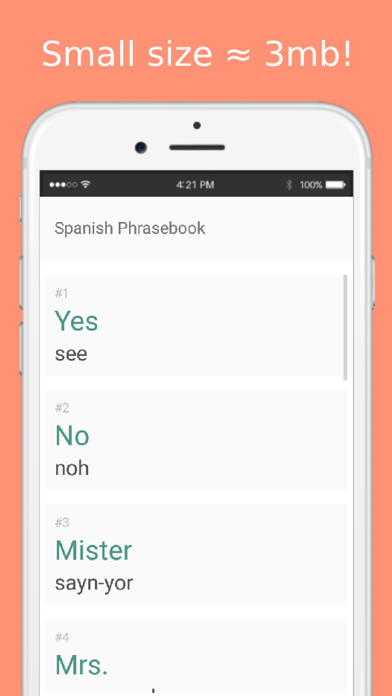 Spanish Phrasebook offline Screenshot