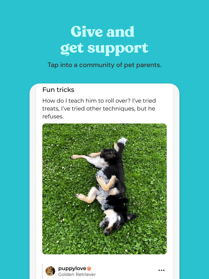 Zoo by Chewy - Pet Community