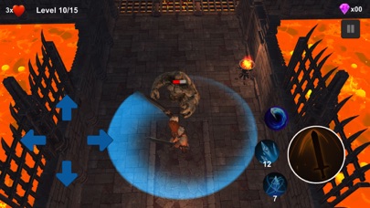 Hero North:Dragon Slayer 3d IO Screenshot