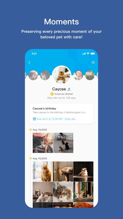 Pawsper - Pet Camera & Photo