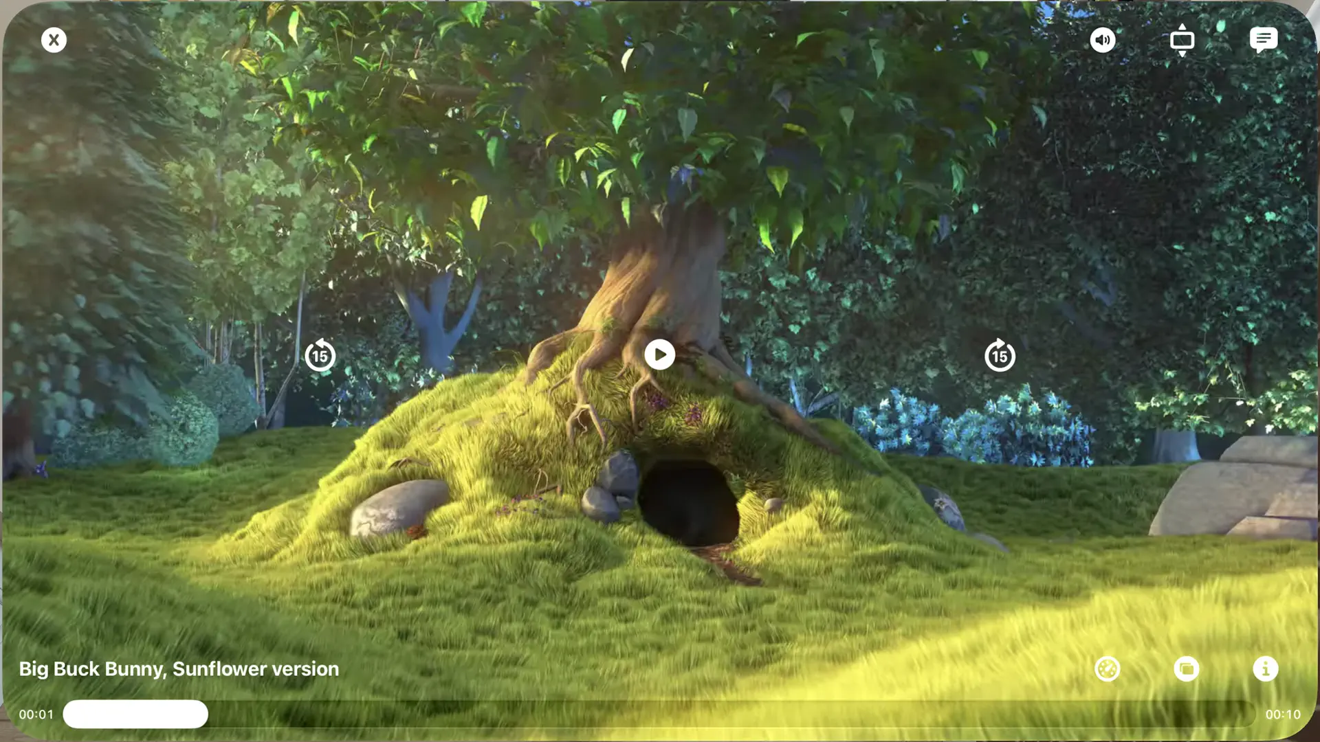 KSPlayer播放器-Tracy screenshot 2