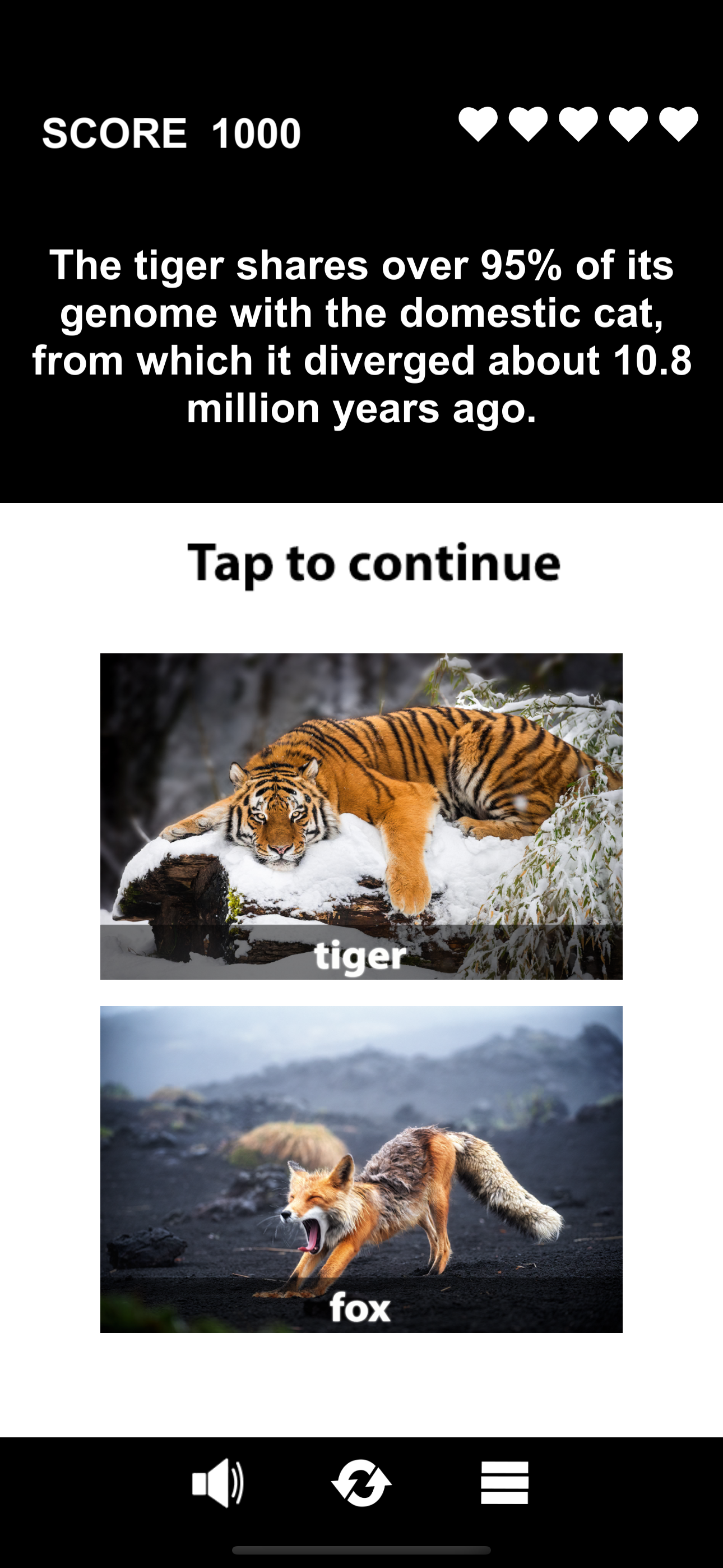 Animal Class screenshot 2