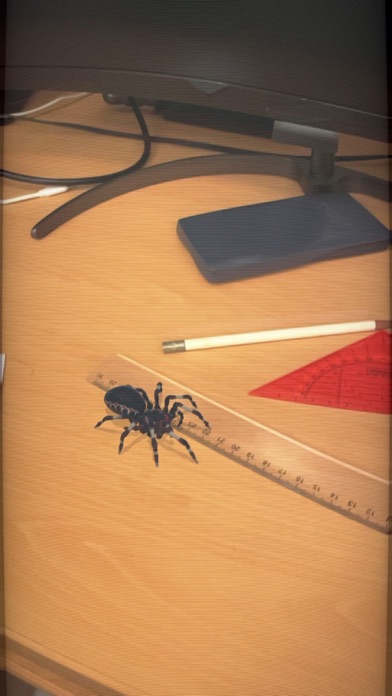 AR Spiders Screenshot