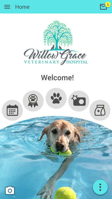 Willow Grace Vet Hospital Screenshot